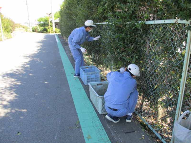 2019年10月豊田高等学校特別支援学校の学生の様子